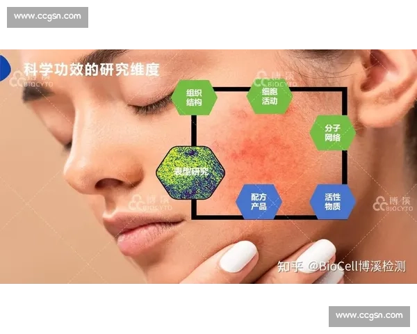 探索皮肤碎片的形成机制与临床应用前景解析